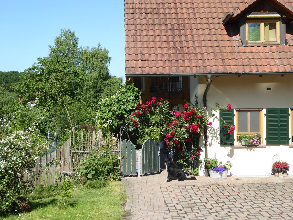 Ferienwohnung Waldblick Zweibrücken Exterior foto